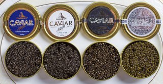 4 varieties of Zarendom sturgeon caviar 4x50g